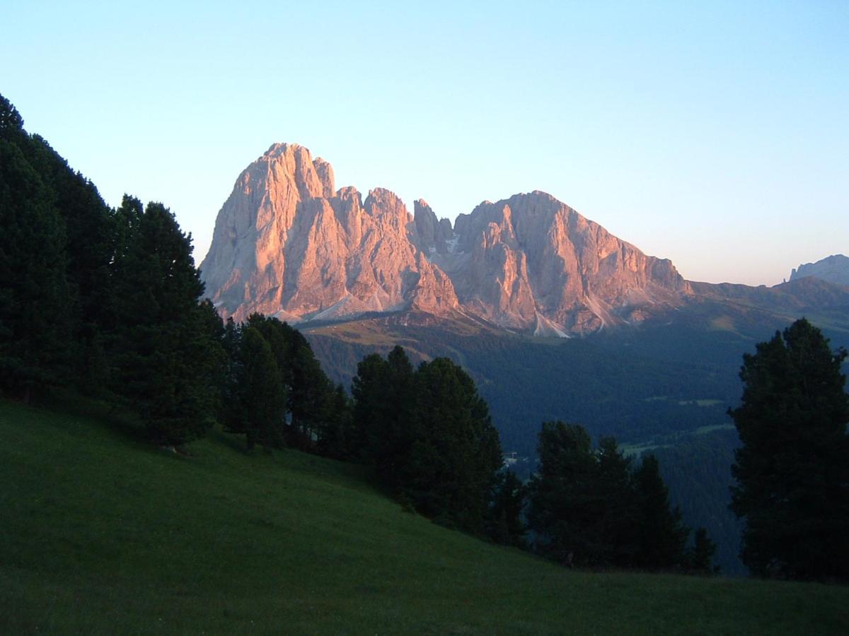 Appartamento Dolomiti Selva di Val Gardena Zewnętrze zdjęcie